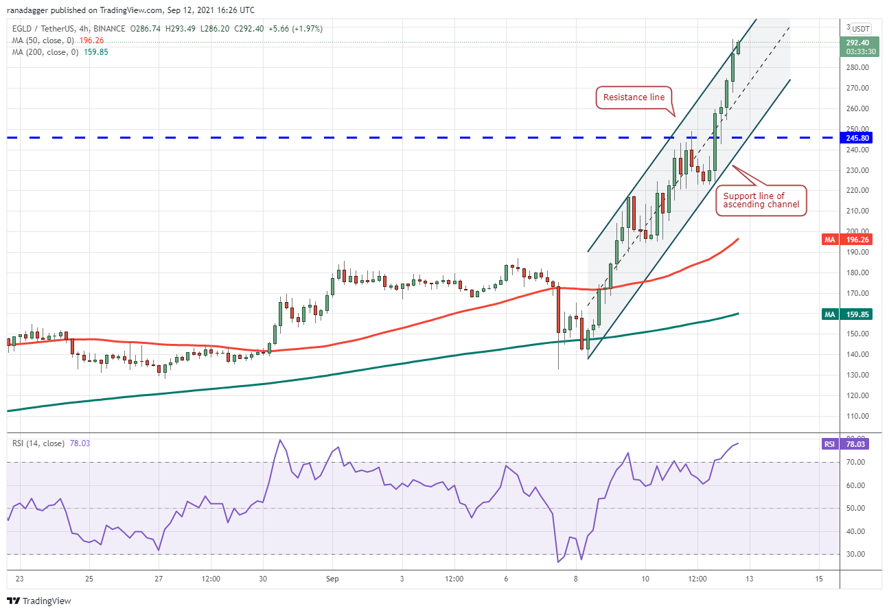 本周最值得关注的5种加密货币：BTC、ALGO、ATOM、XTZ、EGLD