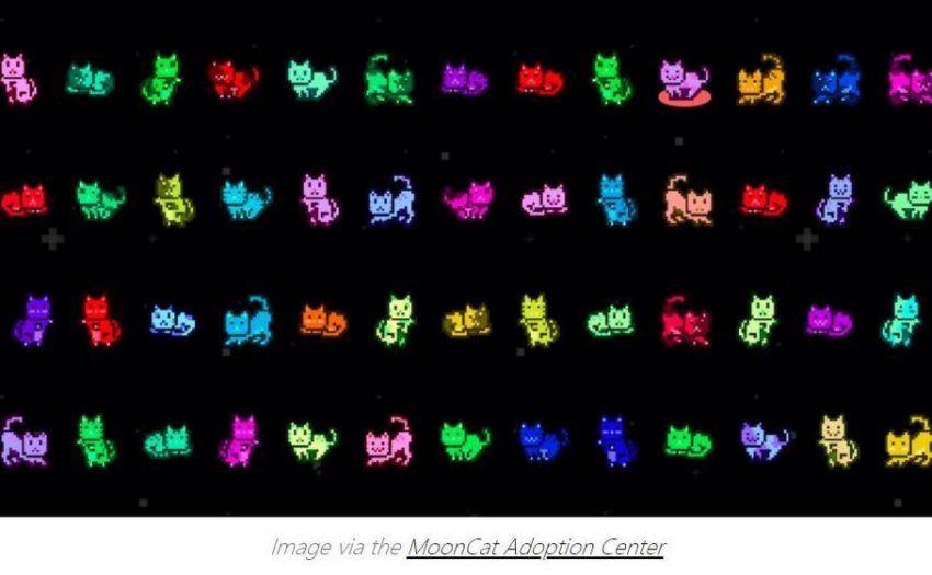 详解 NFT 项目 MoonCats 的前世今生：从诞生、被遗忘，到再次崛起